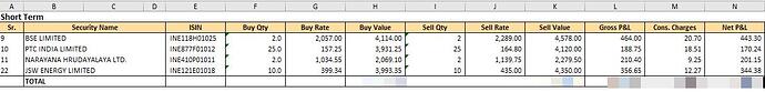 equity worksheet -- short term P&L