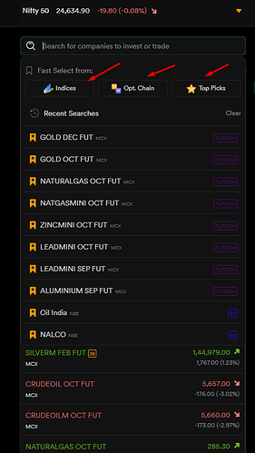 Dhan Search Panel in Watchlist