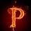 pknpkn21